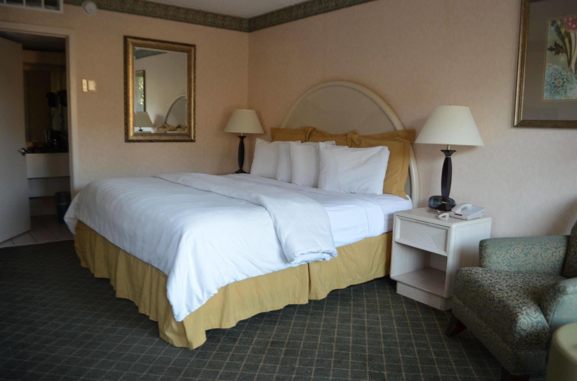 Chapel Hill University Inn Exterior photo